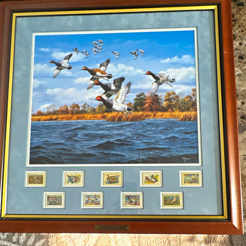 David maass signed midday - david,
