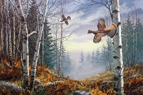 David maass grouse cover - maass,