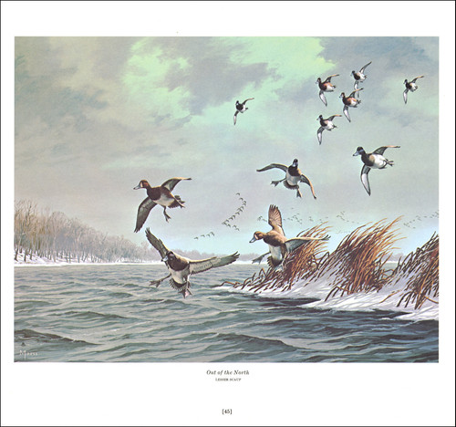 1978 vintage print lesser - 1978,