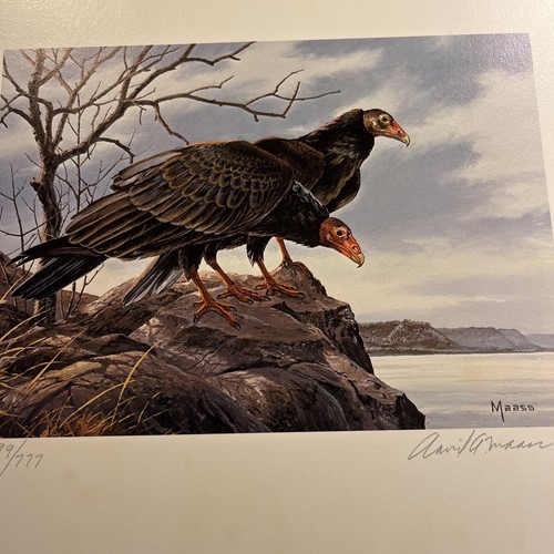 1980 buzzard stamp print david - stamp, print,david